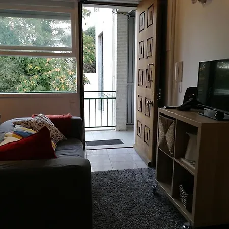 Central Sunny Duplex View Appartement